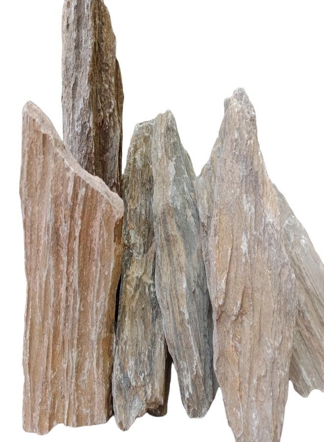 RUKDA صخور حجر رملي من خشب الساج الطبيعي من روكدا® - أحجار زخرفية لأحواض السمك والحدائق والديكور المنزلي - تنسيق أحواض السمك، وتنسيق الحدائق، وأحواض التيراريوم، وأحواض الأسماك - 1 كجم - Image 1